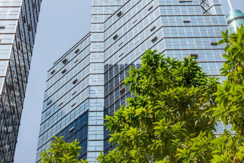 专业报国 推动高质量发展 全球领先专业服务机构德勤确认参展首届中国国际消费品博览会